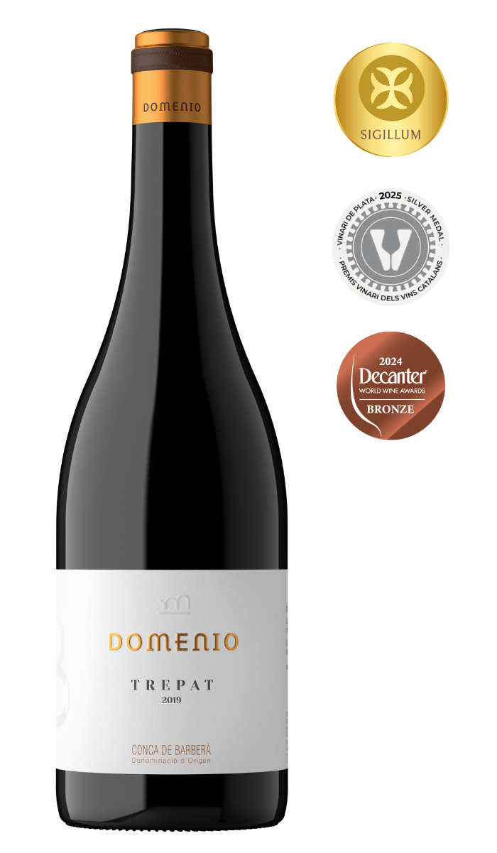 20241115_DomenioTrepat (1)